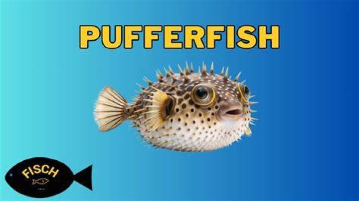 Puffer Fish’s Girlfriend: Who is Puffer Fish Dating?