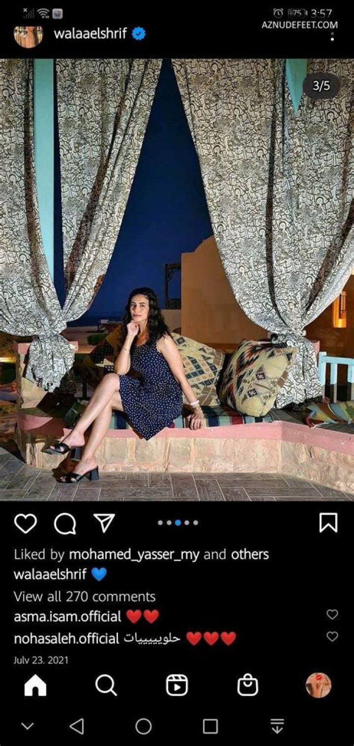 Walaa Elshrif’s Boyfriend: Who is Walaa Elshrif Dating?