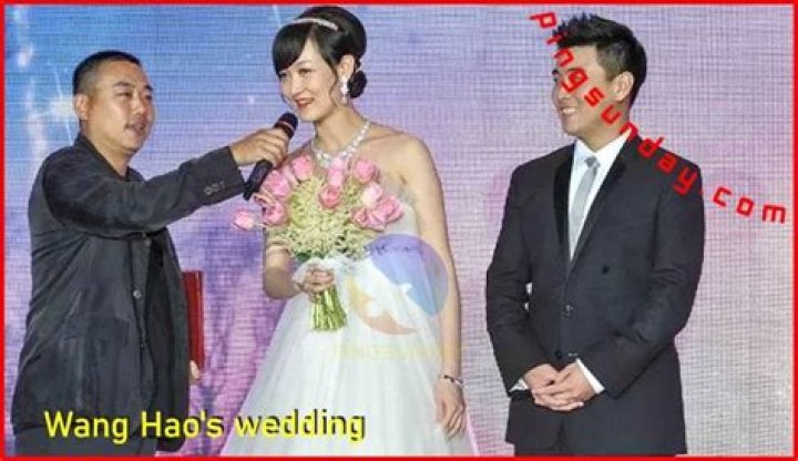 Wang Yan’s Husband: Who is Wang Yan Dating?